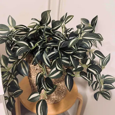 Apartamento Cozy With Private Balcony In Prime Location