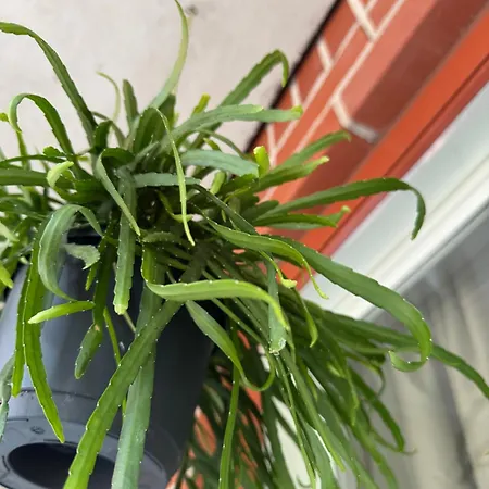 Cozy With Private Balcony In Prime Location