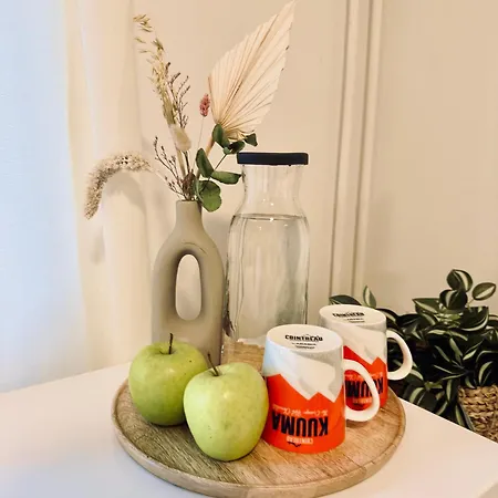 Cozy With Private Balcony In Prime Location Helsinky