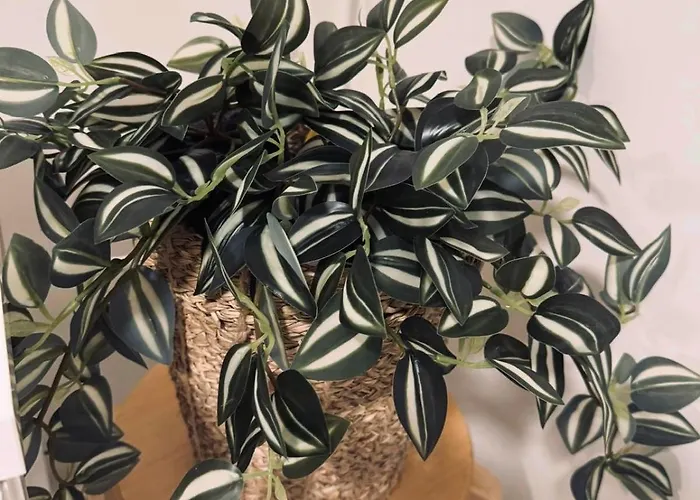 아파트 Cozy With Private Balcony In Prime Location