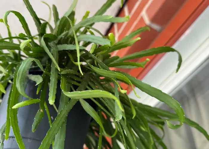 Cozy With Private Balcony In Prime Location